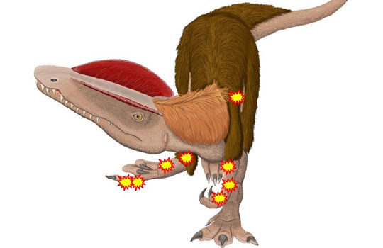dilophosaurus-2916875