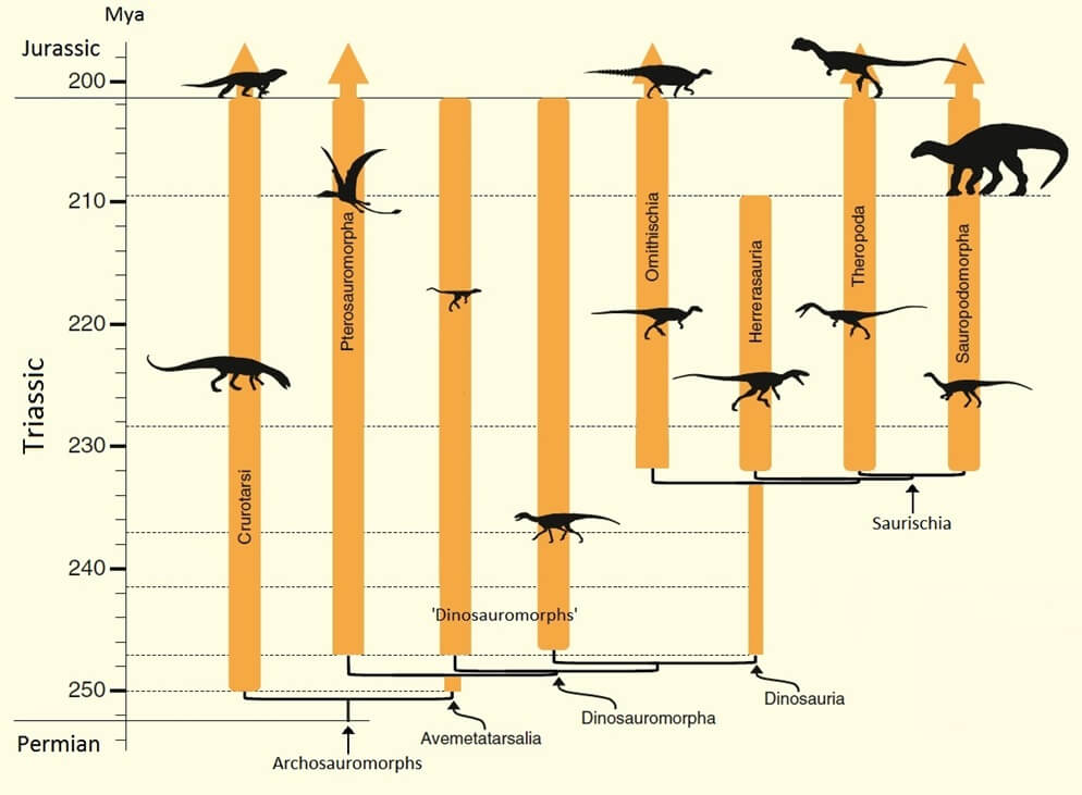Эволюция динозавров в триасовом периоде